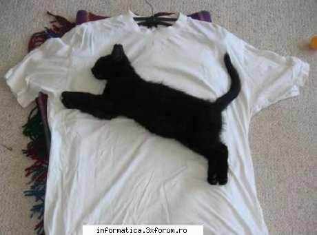 logo-ul puma in reaitate :rotfl:  :zzz:  :rotfl:  :zzz: ceva sooper